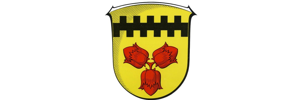 Rathaus der Gemeinde Hasselroth