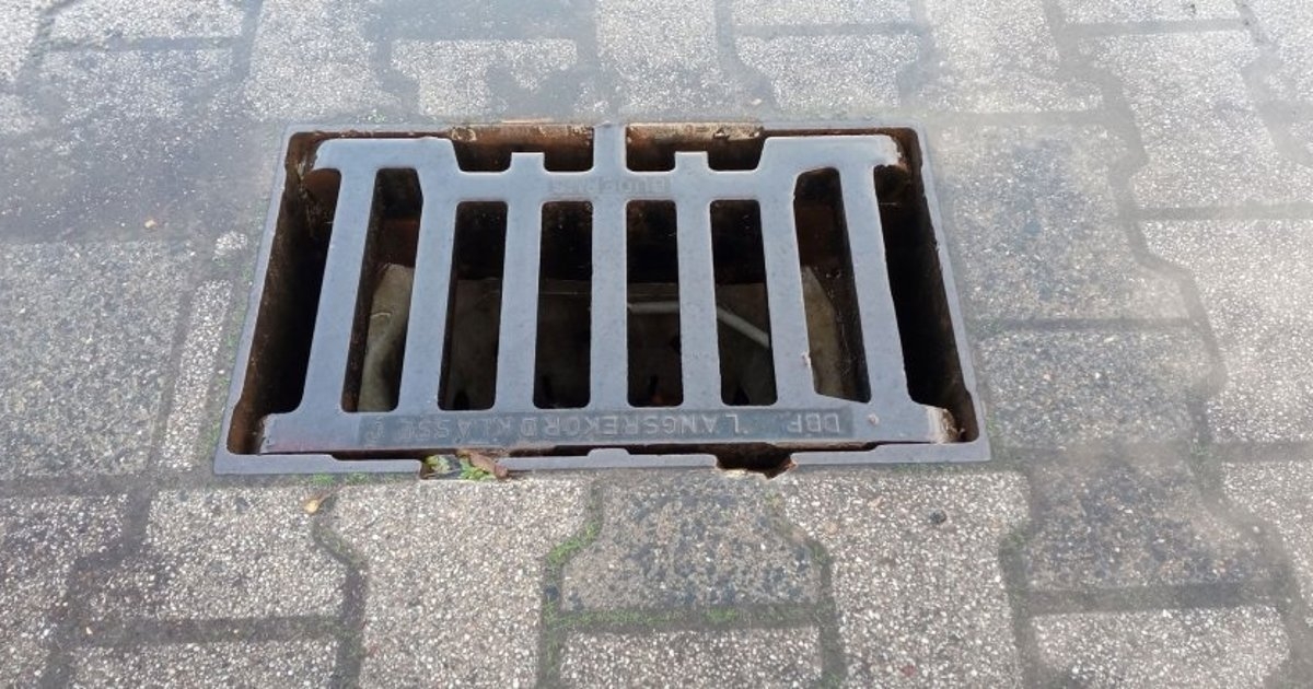 Stefan Wenzel, Anna Lena Ochs, Jaqueline Lach, Jan Engelbach, Siegfried Richter bei der Zertifikatsübergabe